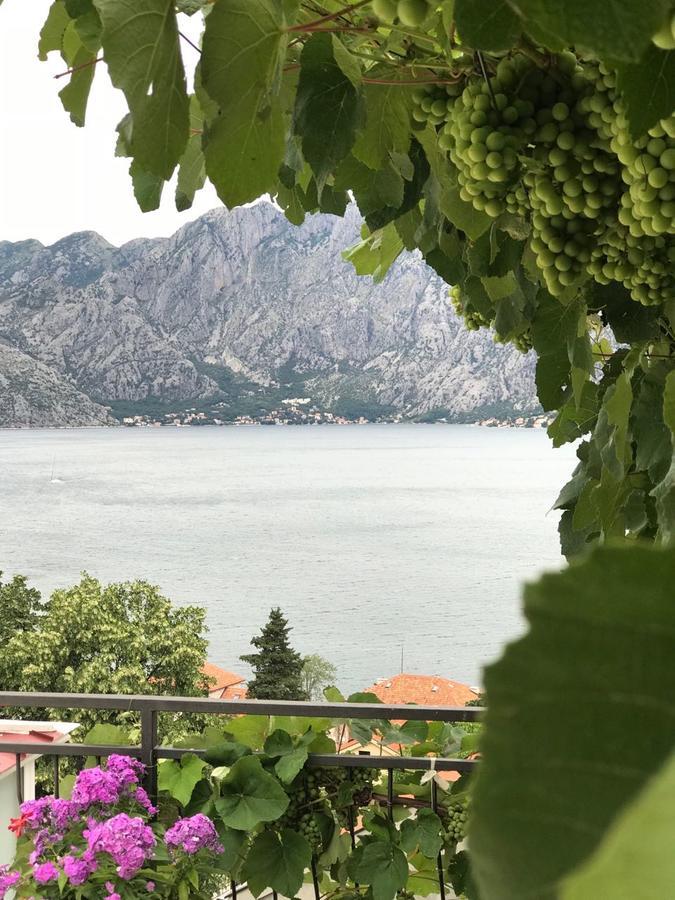 Vasko & Jana Apartment Kotor Exterior photo